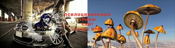 трава Беломорск